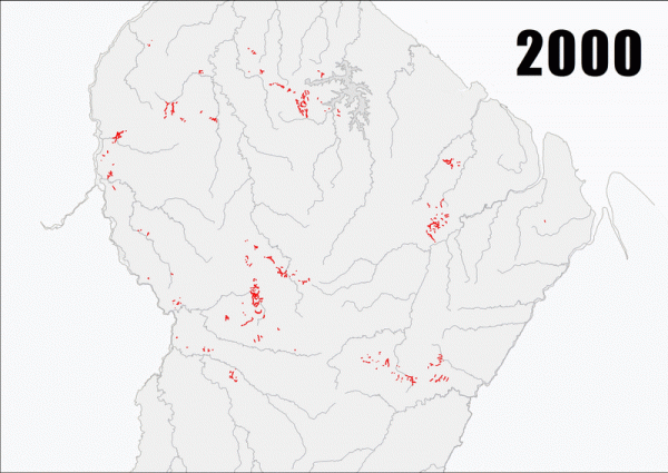 Le WWF publie son suivi des déforestations minières sur le territoire Guyanais