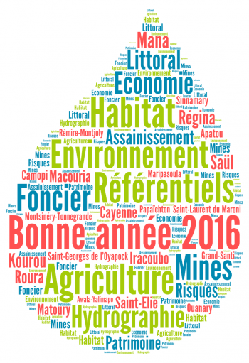 Bonne année 2016