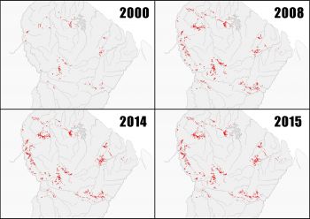 Le WWF publie son suivi des déforestations minières sur le territoire Guyanais