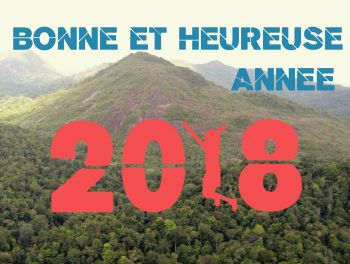 Bonne année 2018