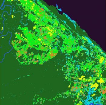 Cartographie agricole des sols via Google Earth Engine