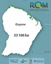 Publication d'une nouvelle cartographie des mangroves françaises